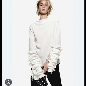 H&M Ruffle Sleeved Blouse